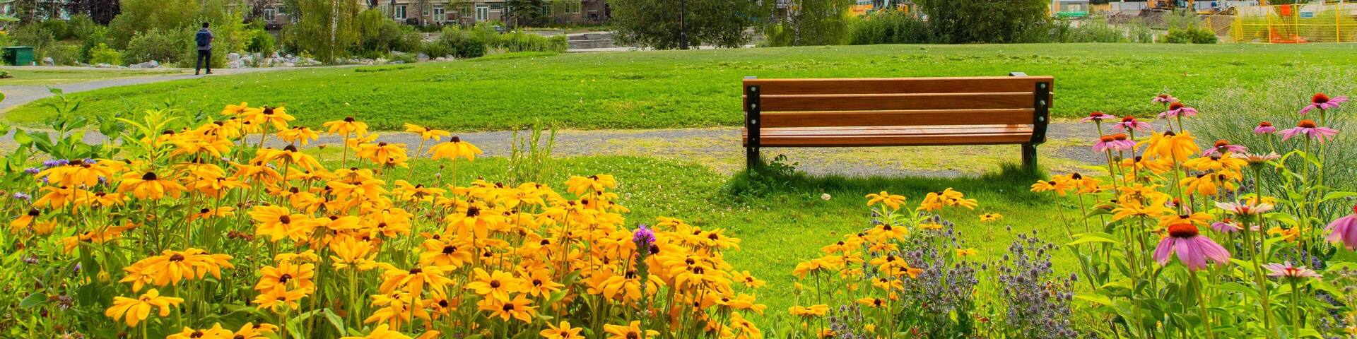 Prince\'s Island Park which includes a garden, a city and wildflowers