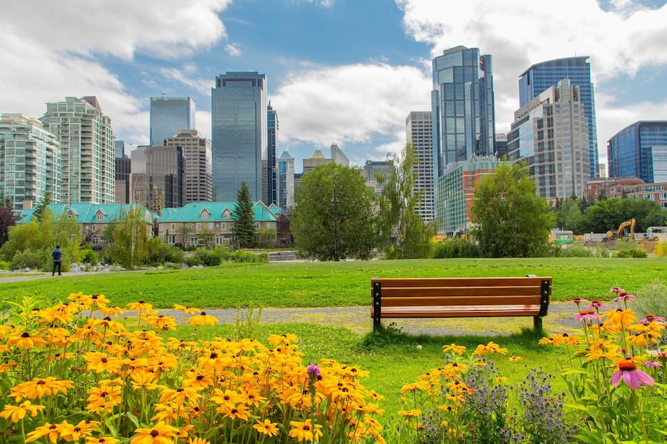 A park with a bench and yellow flowers, surrounded by a city skyline with tall buildings.