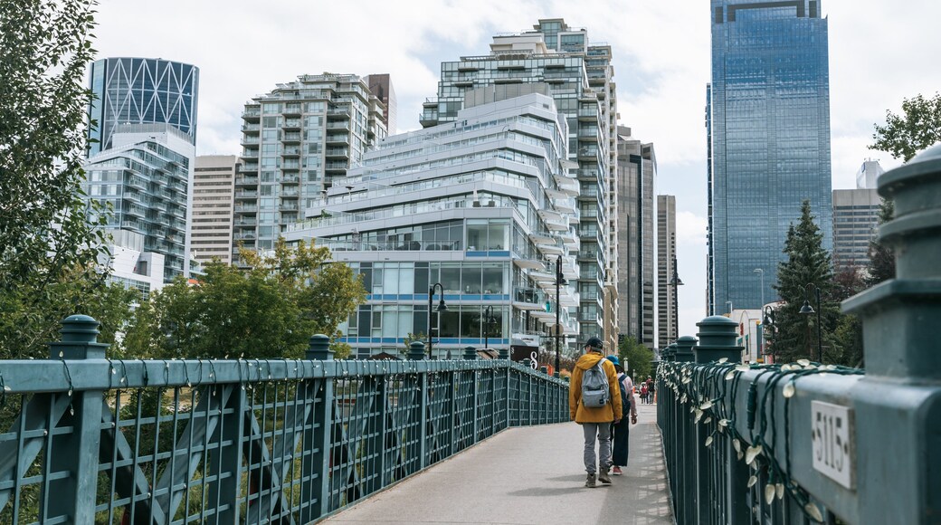 Prince\'s Island Park featuring a city, a high rise building and street scenes