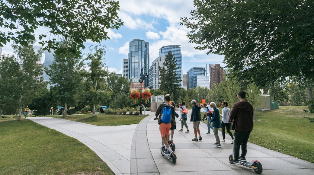 Prince\'s Island Park showing a park as well as a small group of people