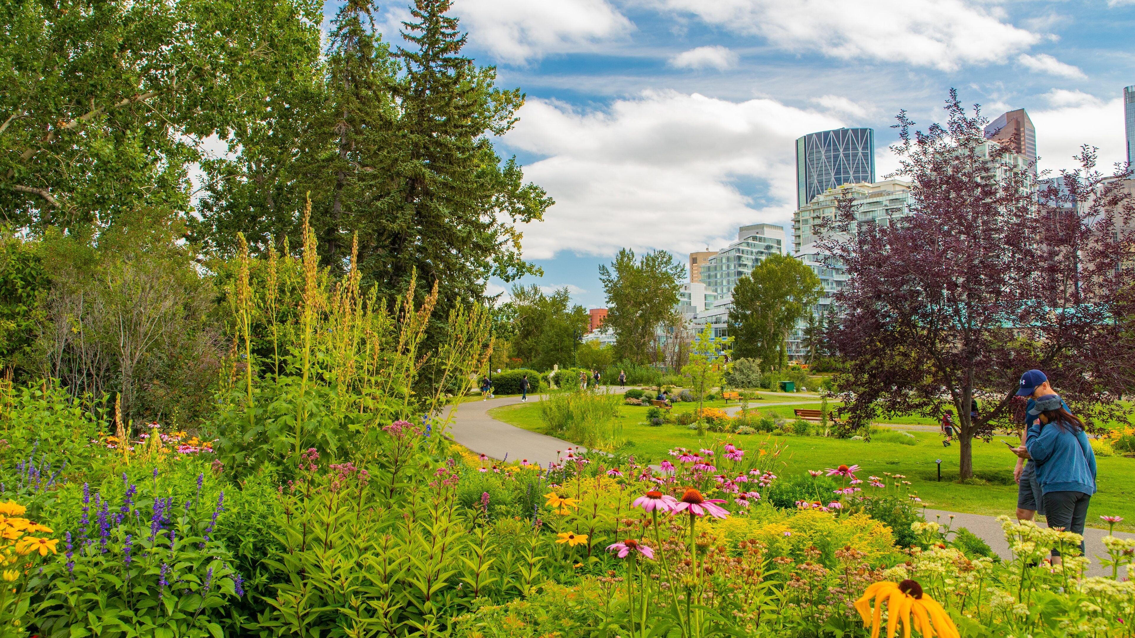 Ein Park mit vielfältiger Flora, einem gewundenen Pfad und modernen Gebäuden im Hintergrund.
