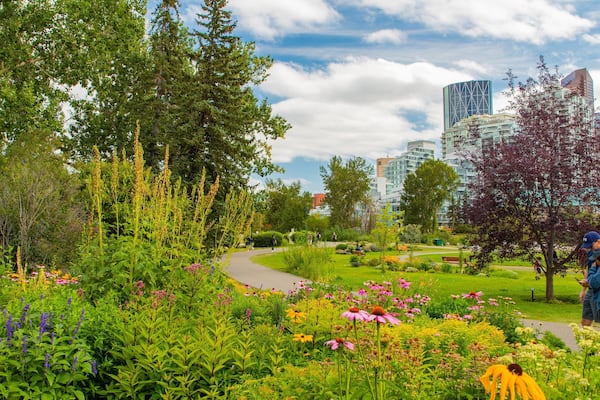 A park with diverse flora, a winding path, and modern buildings in the background.