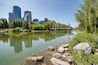 A river with clear water, surrounded by rocks and greenery, with a city skyline in the background.