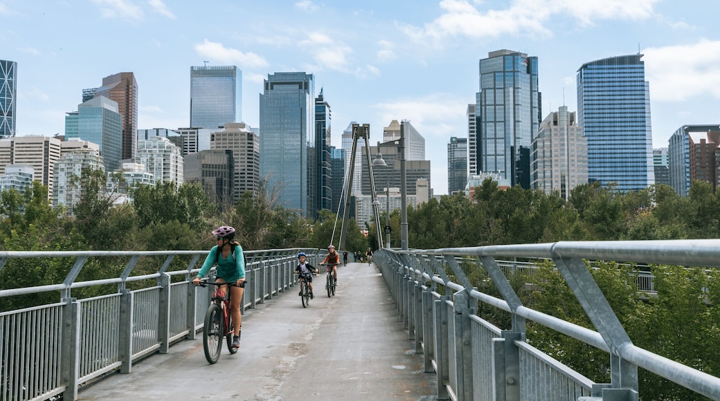 Prince\'s Island Park which includes cycling, a bridge and a city
