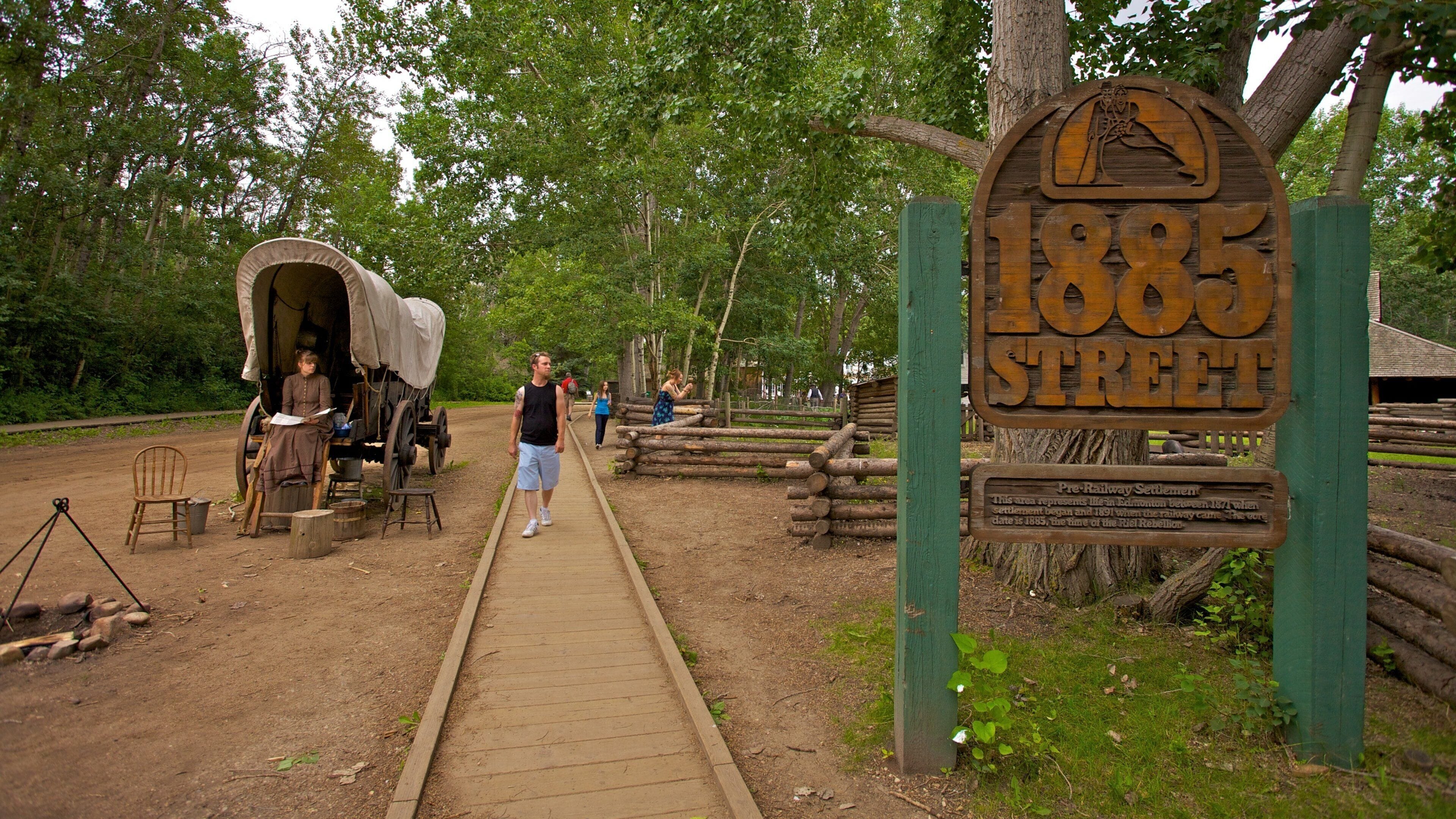 埃德蒙顿城堡公园