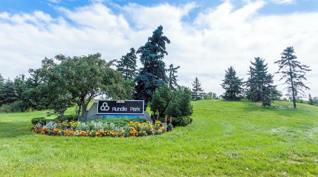 EyeEm Custom Shoots Q4 2018