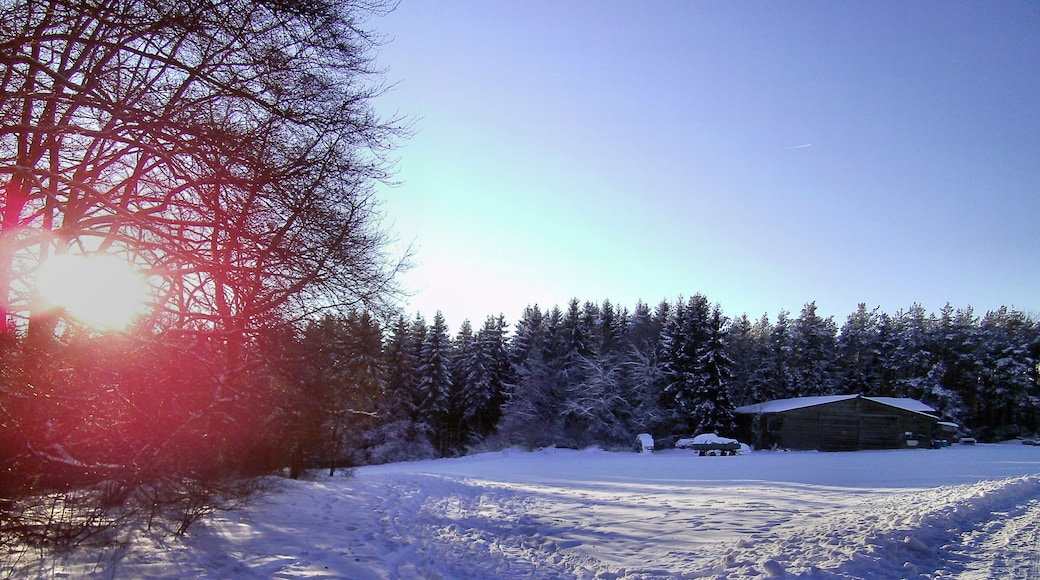 72501 Gammertingen, Germany