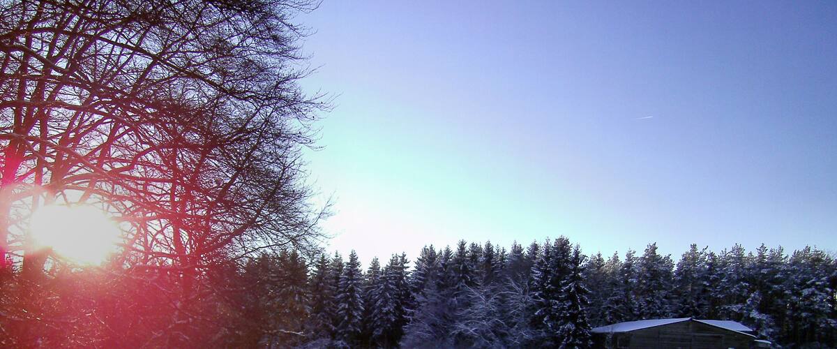 A snowy landscape with a wooden cabin and a forest in the background.
