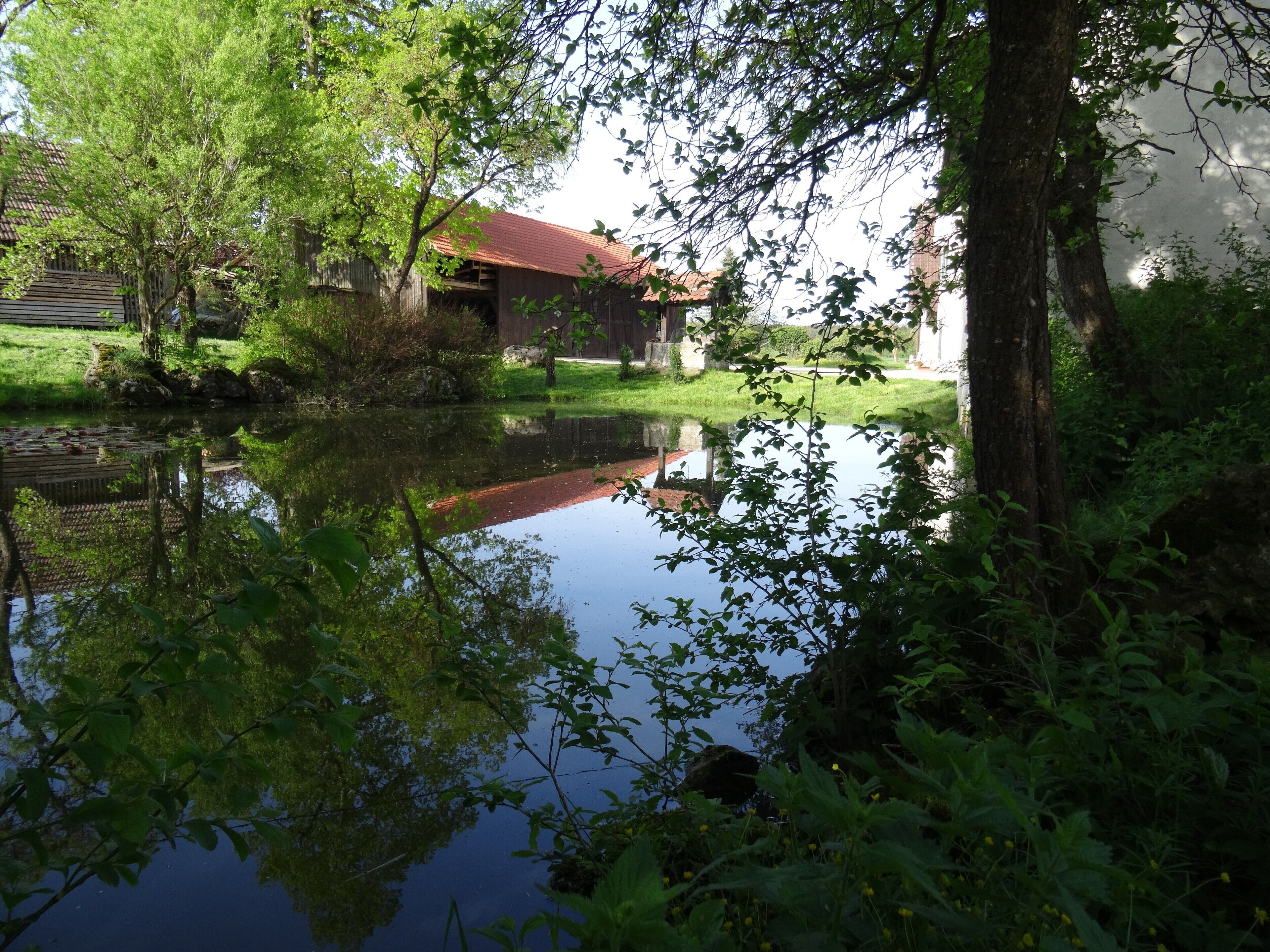 Lusthof bei Kettenacker (Gehöft mit Hüle/Hülbe), Frühjahr 2015