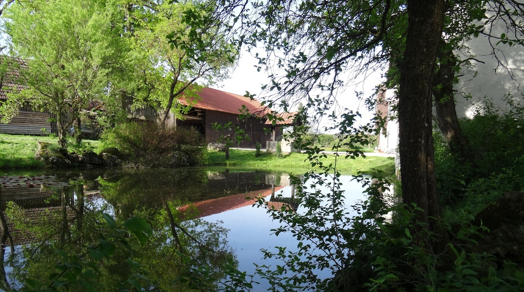 Lusthof bei Kettenacker (Gehöft mit Hüle/Hülbe), Frühjahr 2015