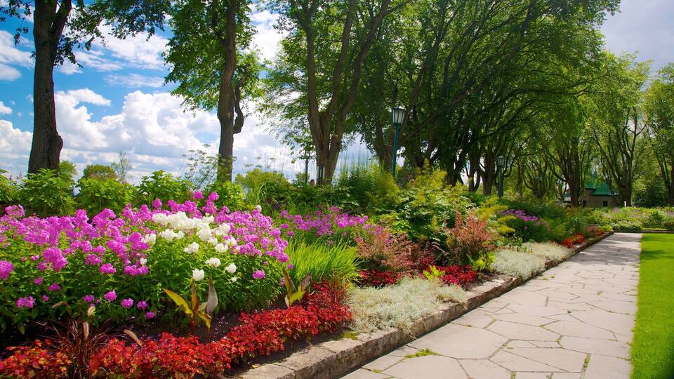 A landscaped garden with a variety of colorful flowers, a stone pathway, and tall trees.