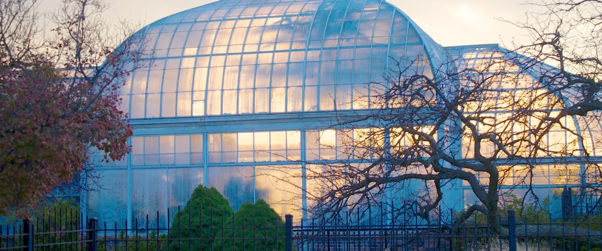 Belle Isle Hotel Guide