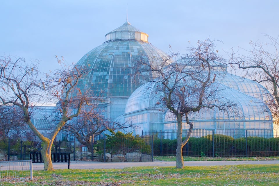 A large glass-domed building surrounded by leafless trees.