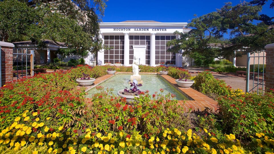Hermann Park showing flowers, a pond and a park