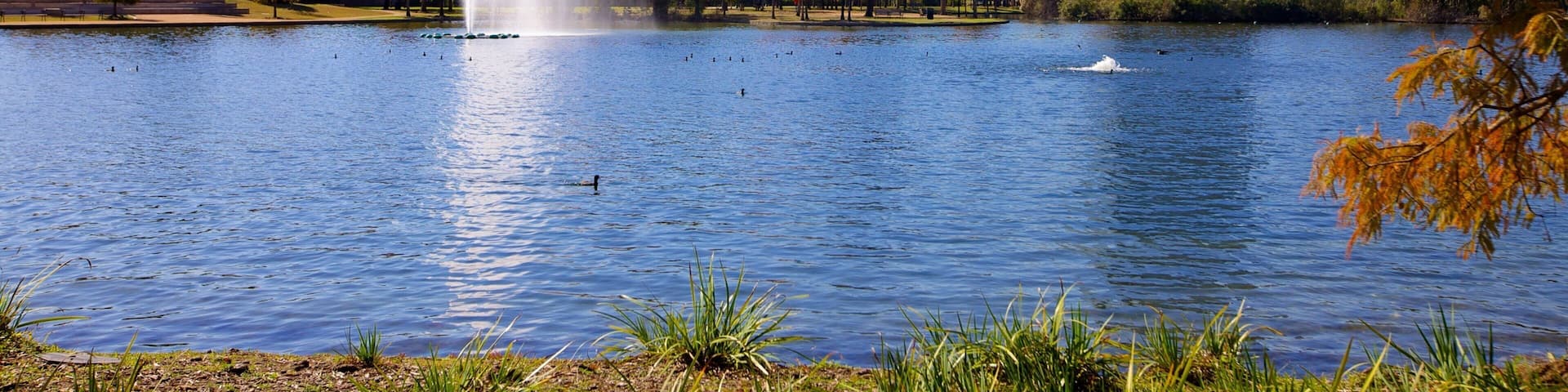 Fountain splashes in serene Hermann Park with Houston skyline backdrop during a sunny afternoon