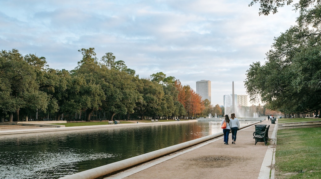Hermann Park showing a pond and a fountain as well as a couple