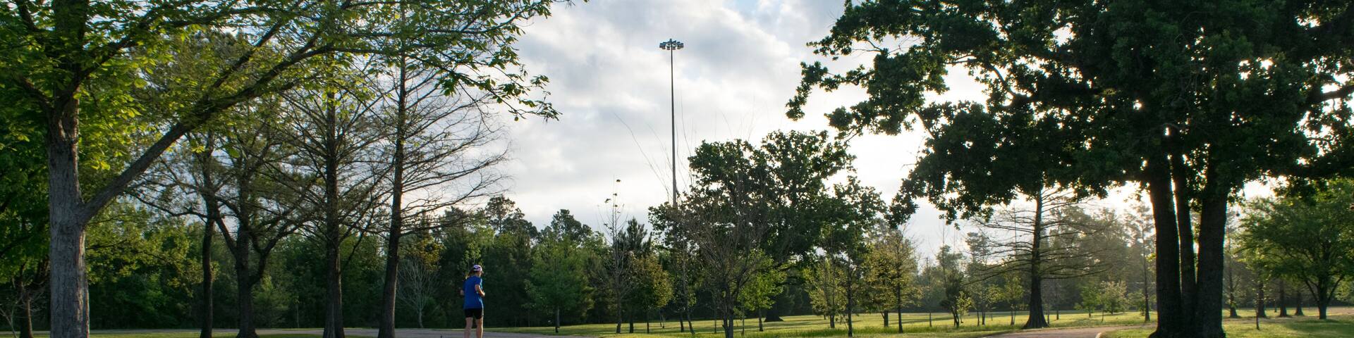 A park with a paved path, trees, and a streetlight.