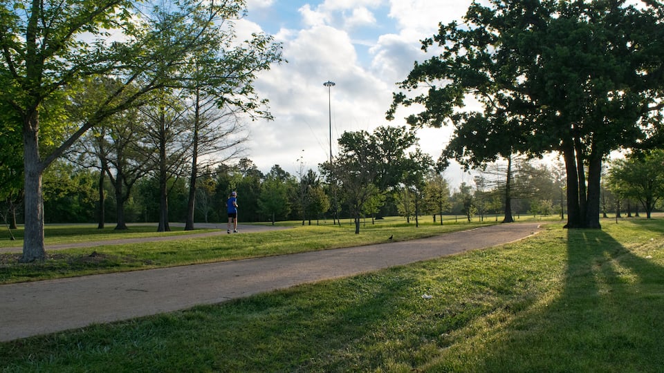 Um parque com um caminho pavimentado, árvores e um poste de luz.