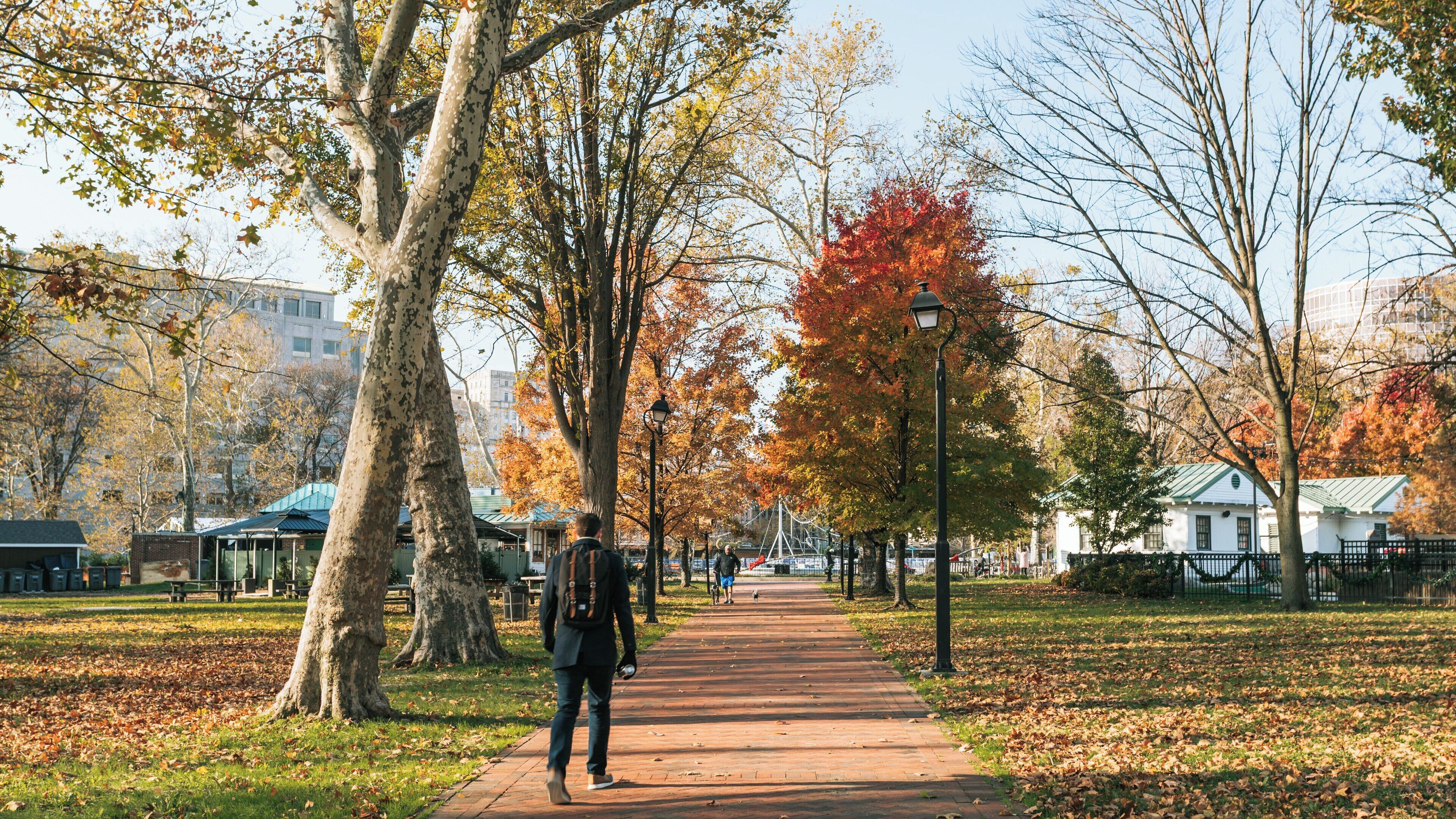 Walking through the vibrant fall foliage of Franklin Square in Center City Philadelphia on a sunny day