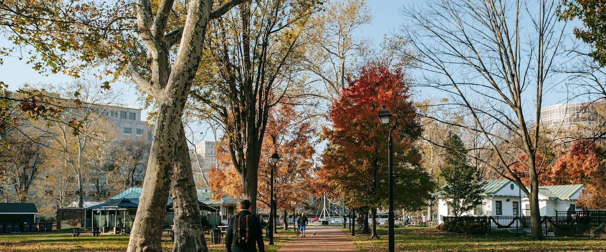 Franklin Square featuring fall colors and a park as well as an individual male