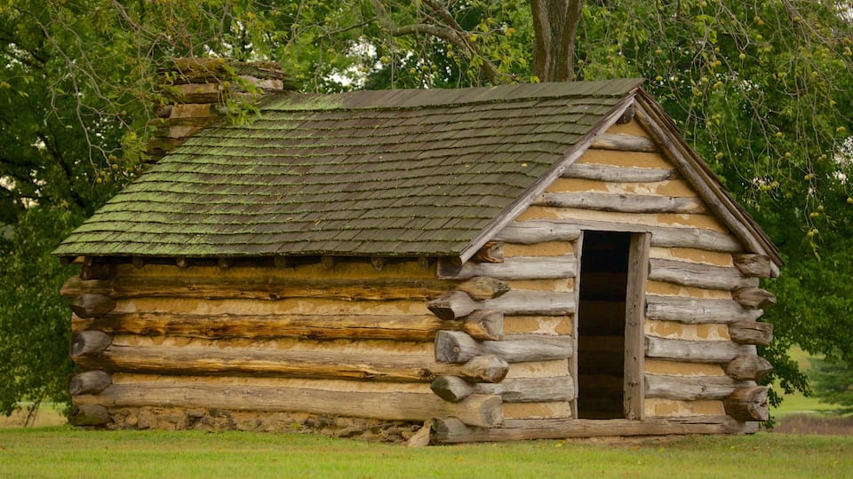 A rustic log cabin with a green shingled roof, surrounded by lush greenery.