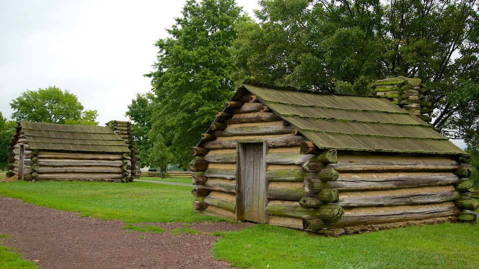 A rustic log cabin with a wooden door, surrounded by lush green grass and trees.