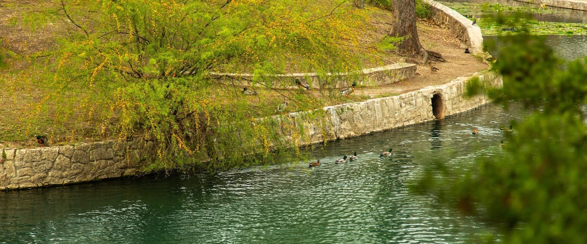 Brackenridge Park
