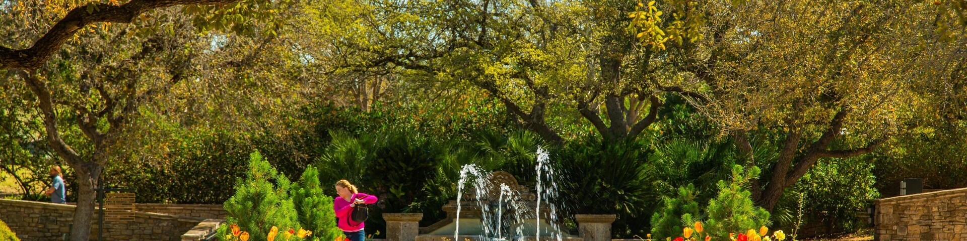 Um jardim com uma fonte, plantas em vasos e árvores.