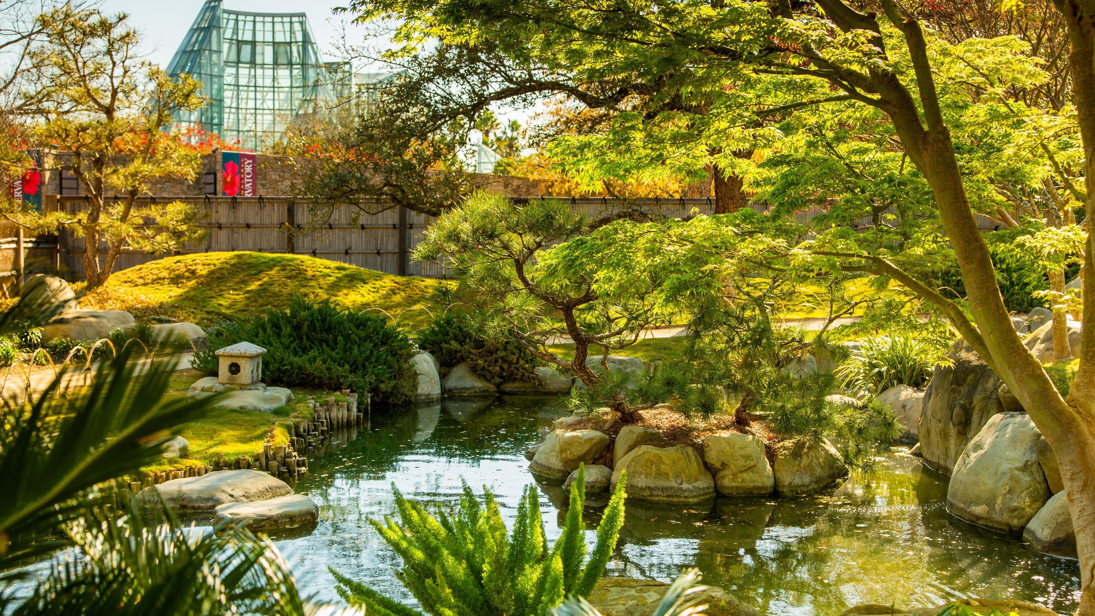 San Antonio Botanical Gardens showing a park and a pond