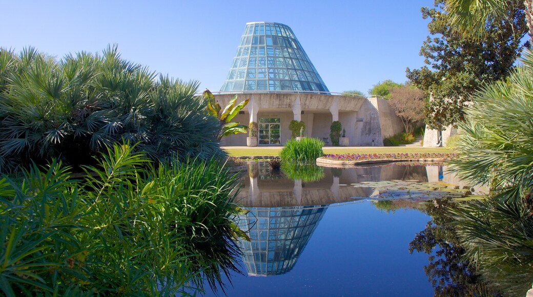 San Antonio Botanical Gardens which includes modern architecture, a park and a pond