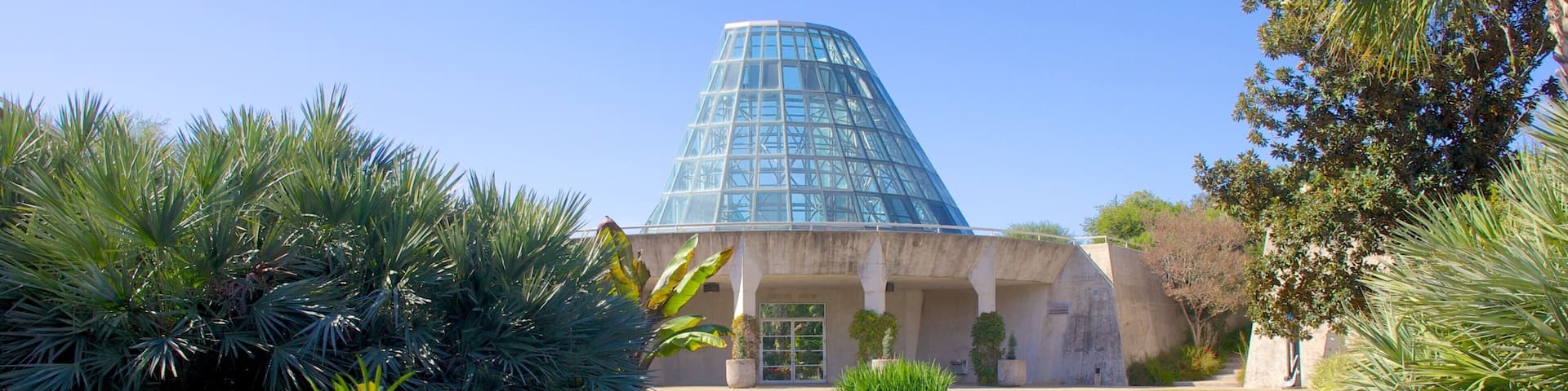 Jardín botánico de San Antonio ofreciendo arquitectura moderna, un parque y un estanque