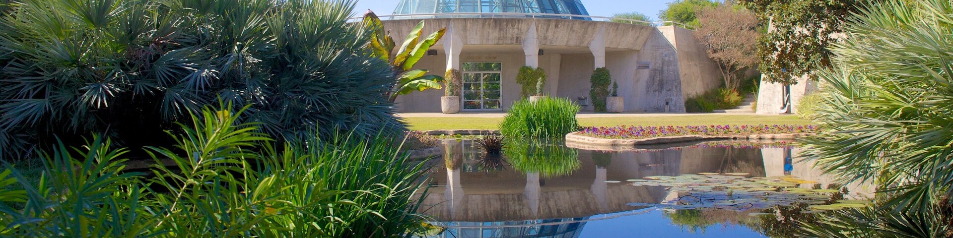 San Antonio Botanical Gardens which includes modern architecture, a garden and a pond