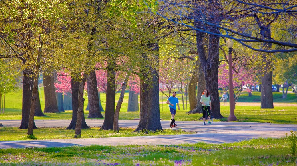สวน Tower Grove เนื้อเรื่องที่ ดอกไม้ป่า, สัตว์น่ากอดหรือสัตว์เป็นมิตร และ เดินหรือเดินป่า