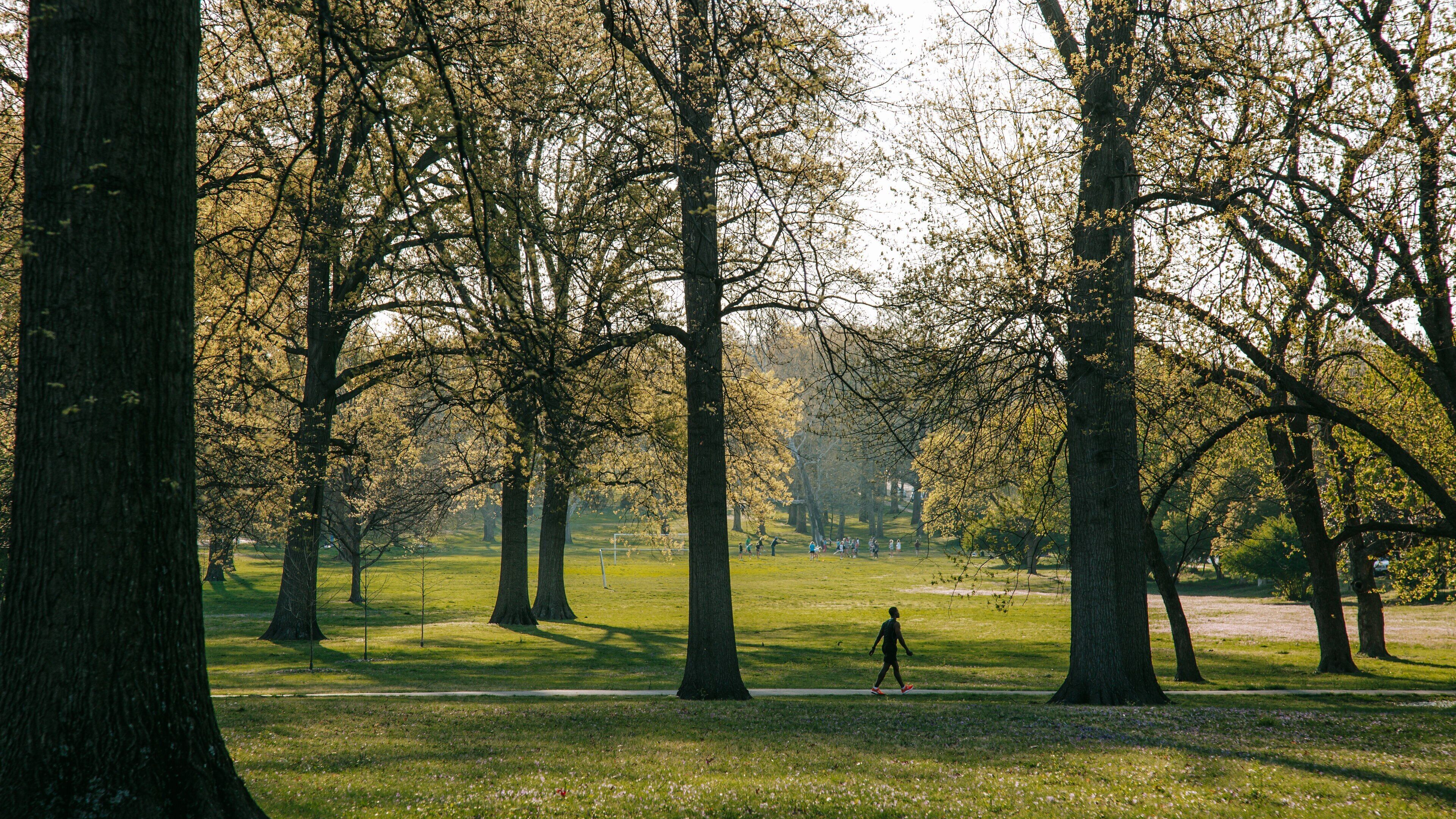 Tower Grove Park featuring a park