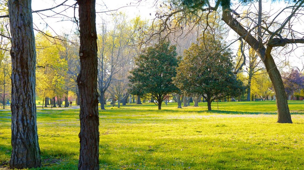 Tower Grove Park which includes a park