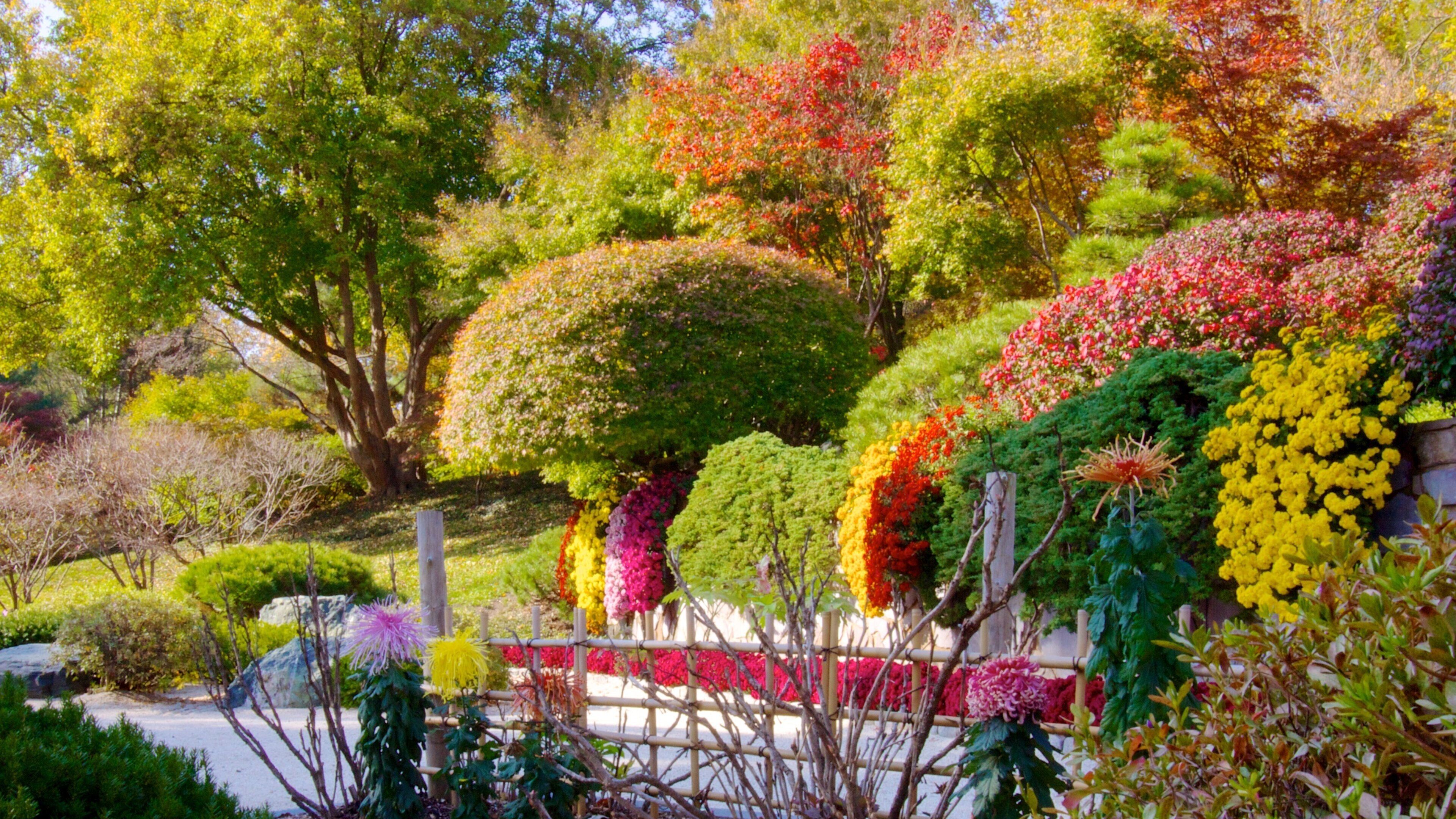 Missouri Botanical Gardens and Arboretum che include parco e vista del paesaggio