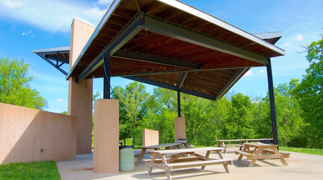 Swope Park showing a garden