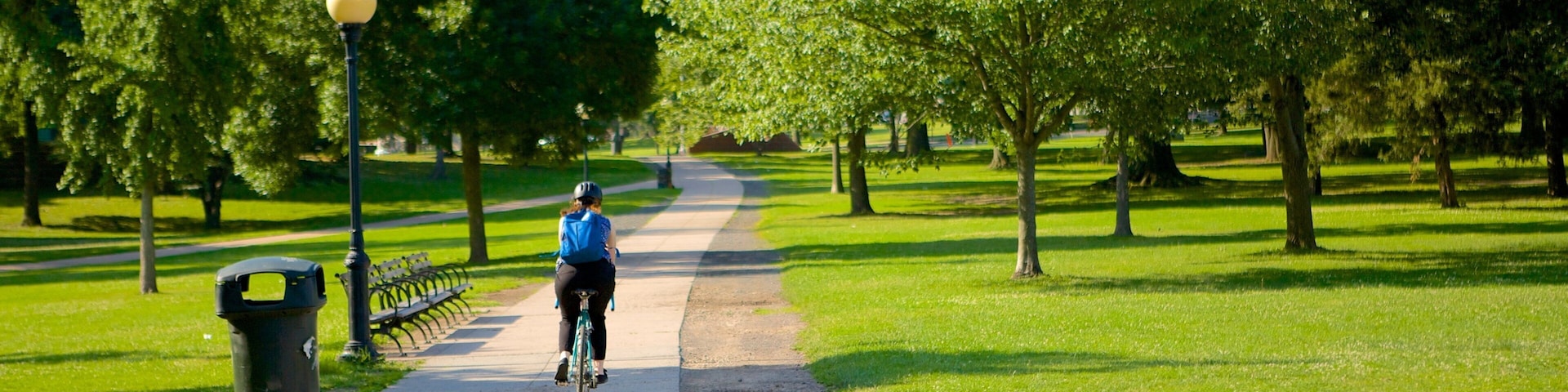 Bushnell Park featuring cycling and a garden as well as an individual femail
