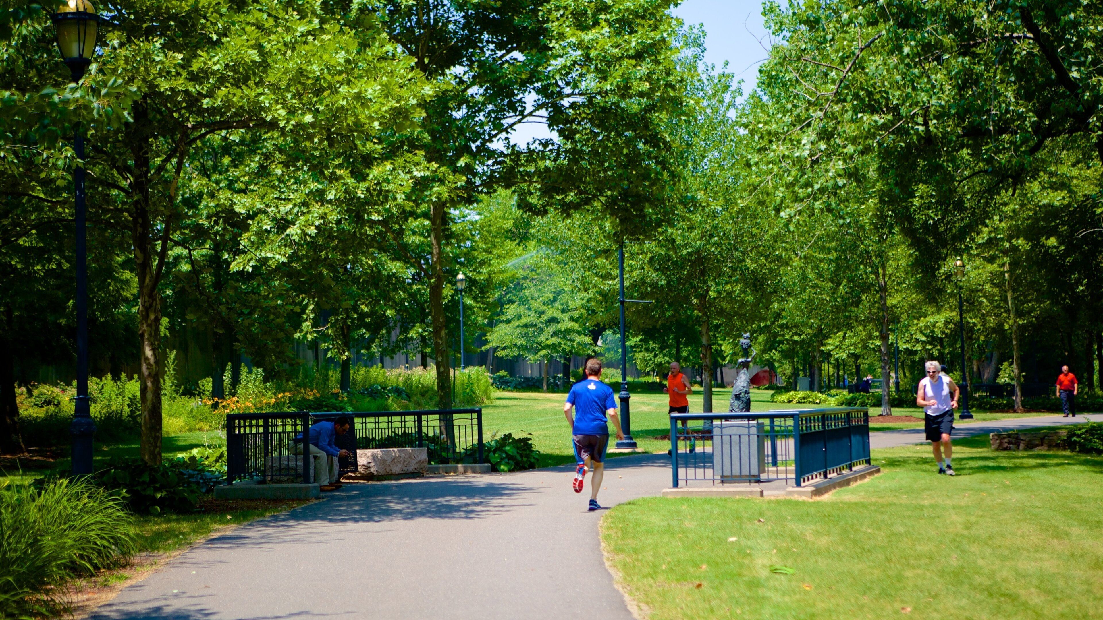 Riverside Park showing a park