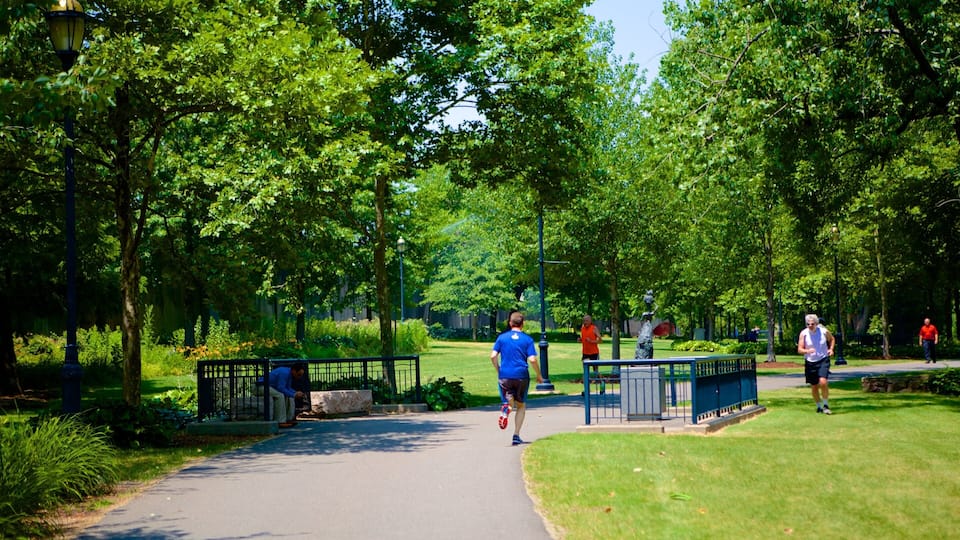 Riverside Park showing a park
