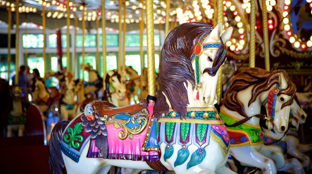 Roger Williams Park featuring rides