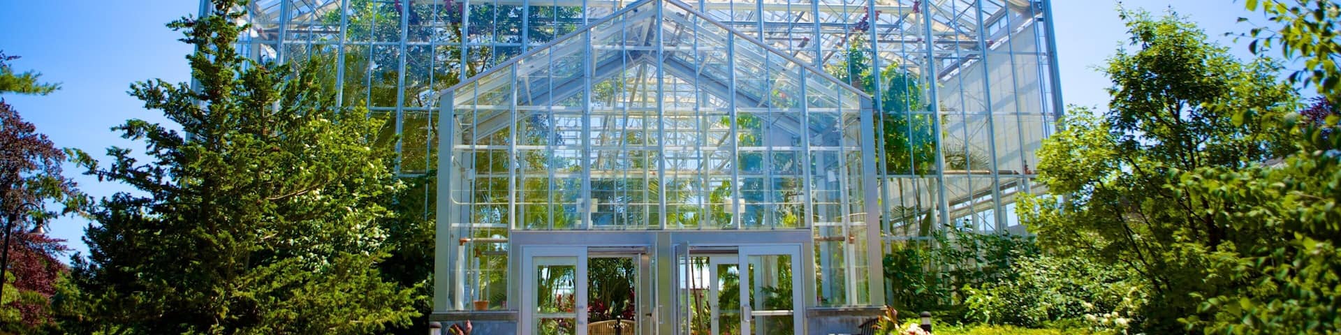 A large glass greenhouse with a metal frame, surrounded by lush greenery and trees.
