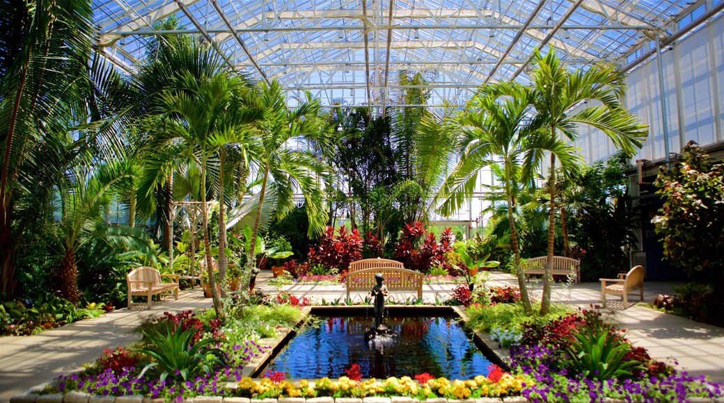 Roger Williams Park which includes flowers, interior views and a garden