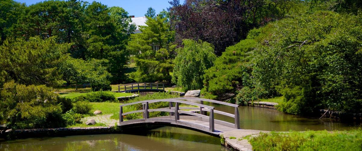 Providence ofreciendo un estanque, un puente y un parque