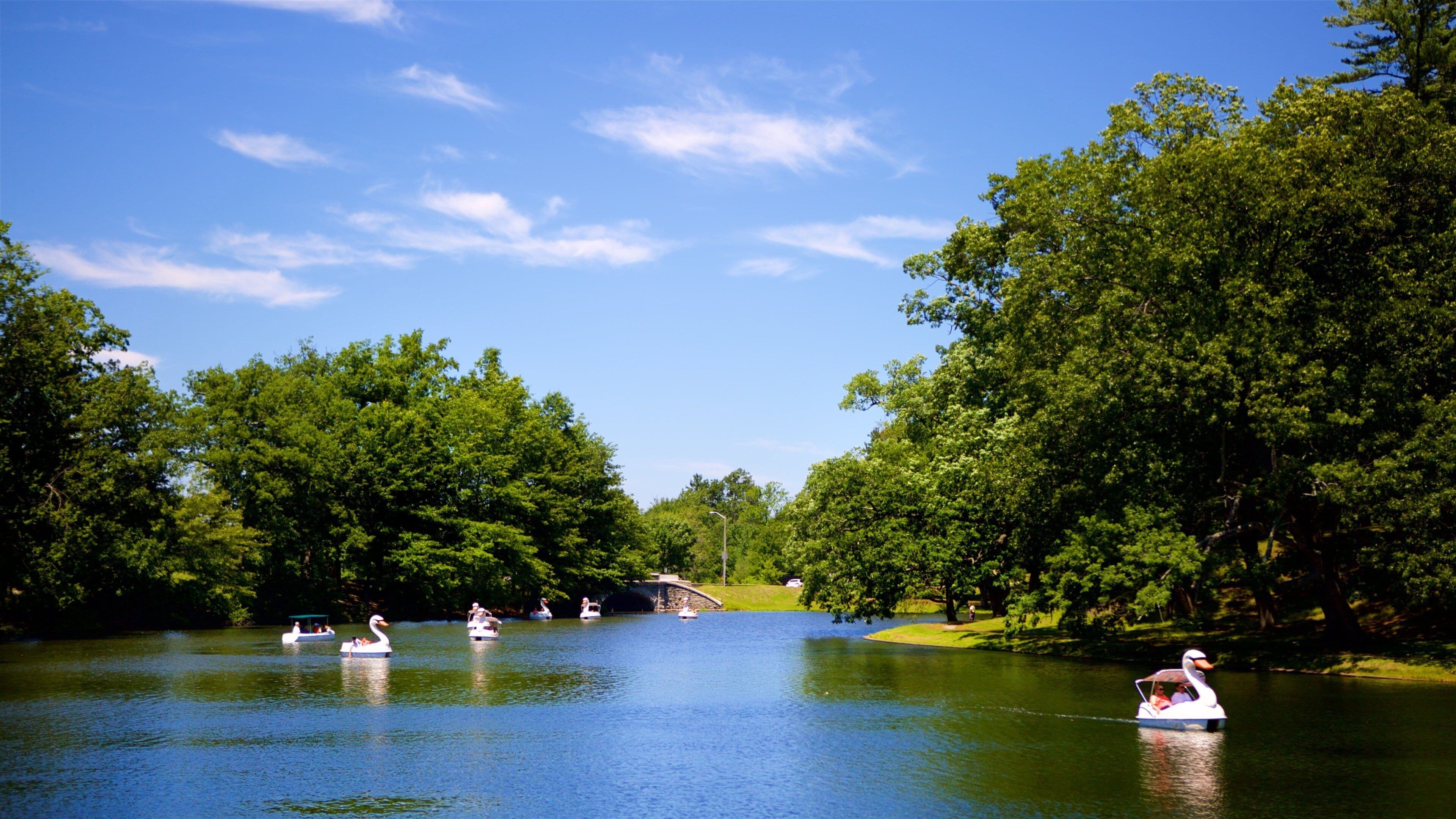 Roger Williams Park featuring a pond and boating
