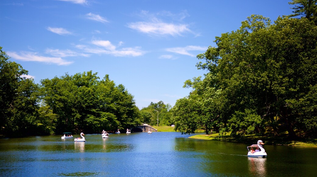 Roger Williams Park featuring a pond and boating