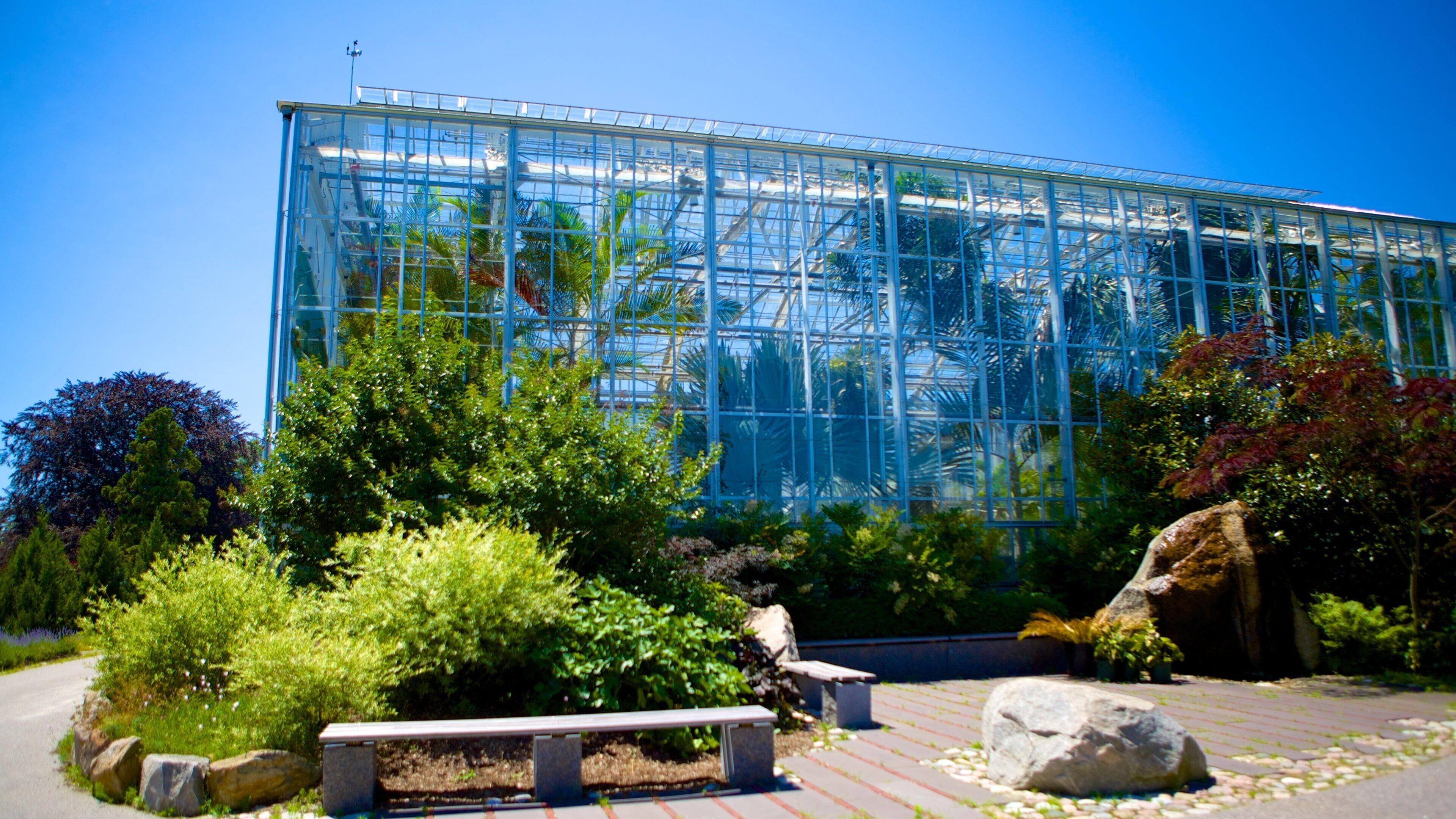 Providence ofreciendo un parque