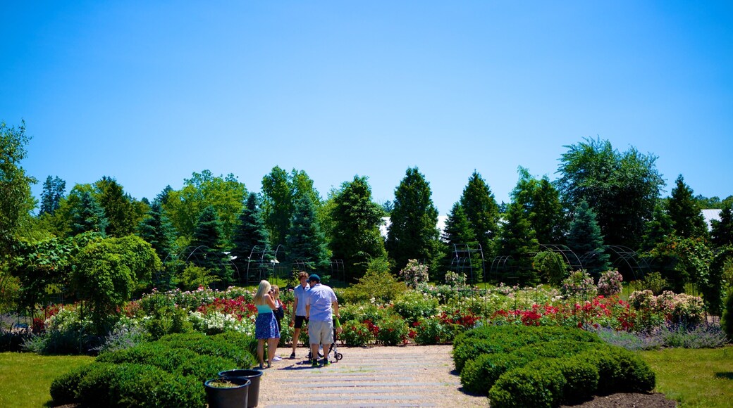 Providence ofreciendo un jardín y también un grupo pequeño de personas
