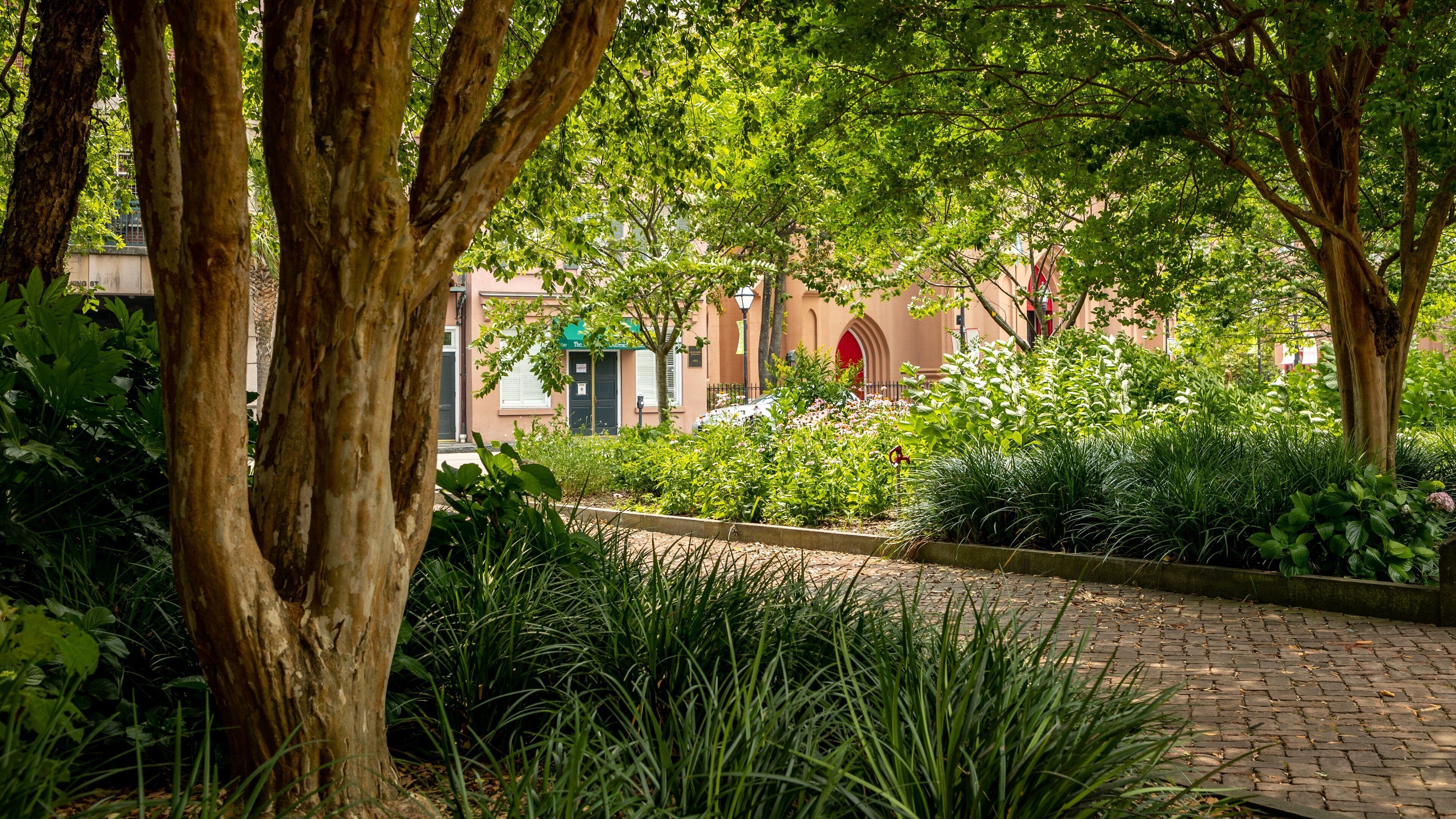 Marion Square featuring a park