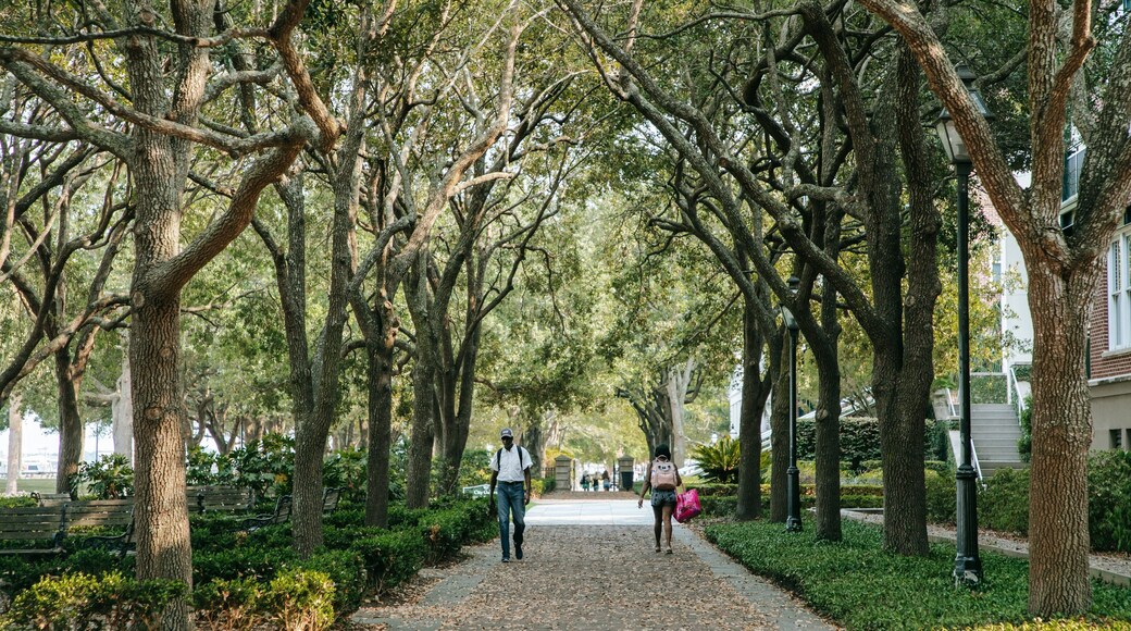 Waterfront Park featuring a garden